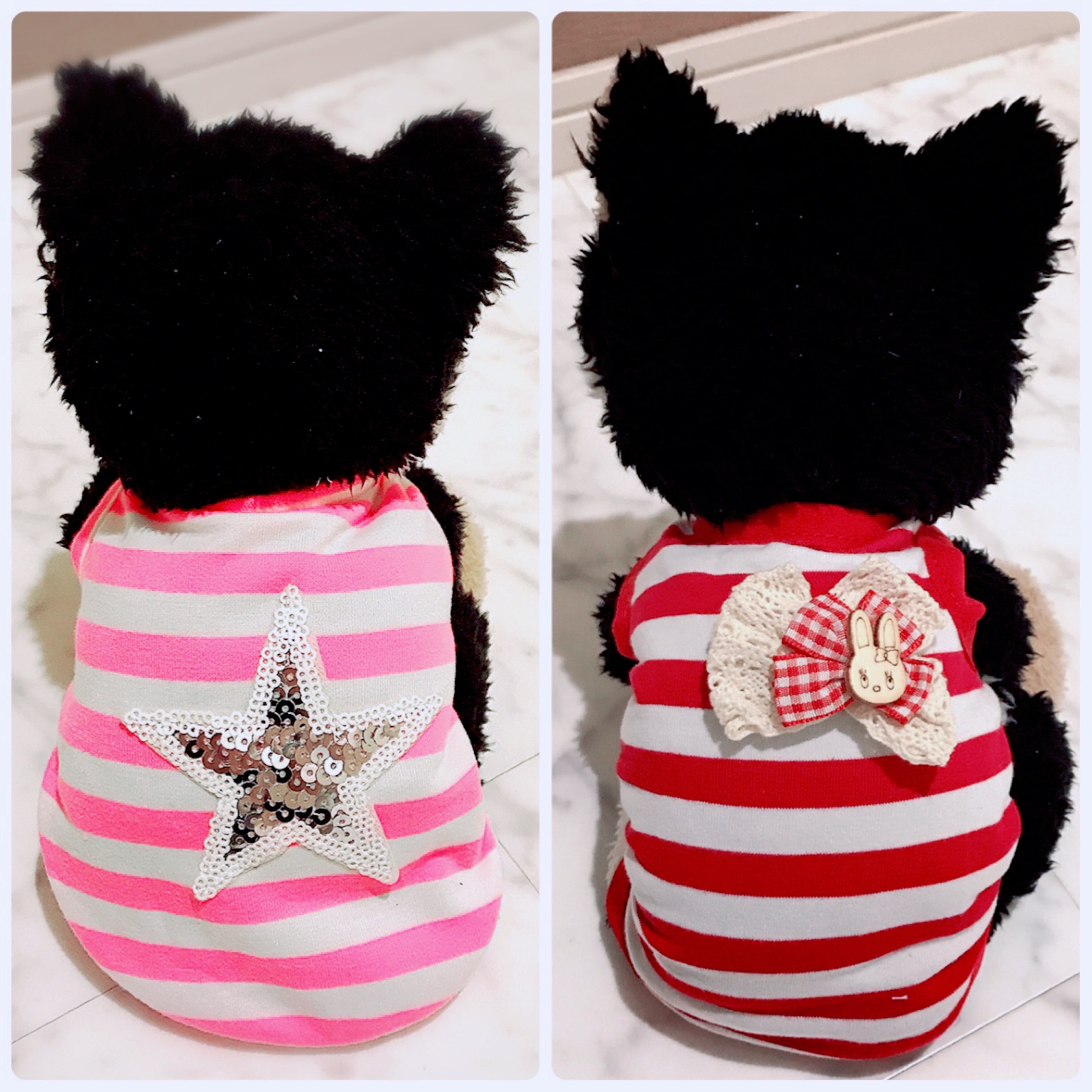 超小型犬・パピー犬 スモールサイズ | ronkichimaru(ロンキチマル