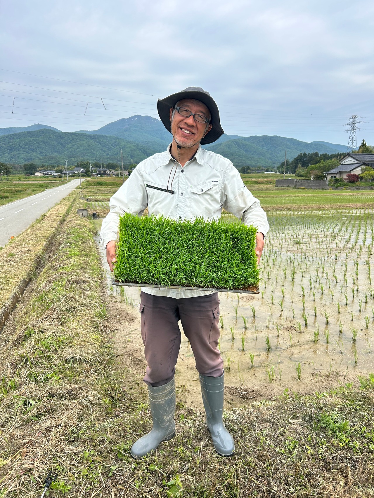 令和8年佐渡産コシヒカリ　10㎏・画像5