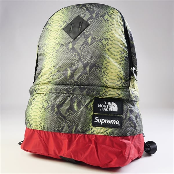 Supreme north face snakeskin day pack