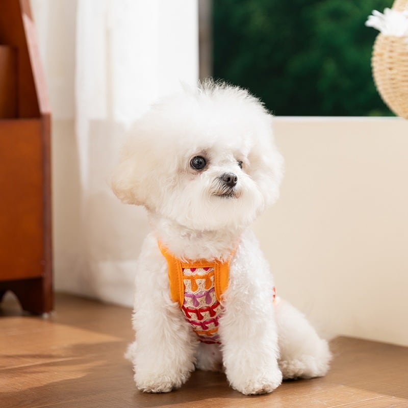 予約】フラワーモチーフ編みキャミソール 小型犬 犬服 夏 | Pilialoha