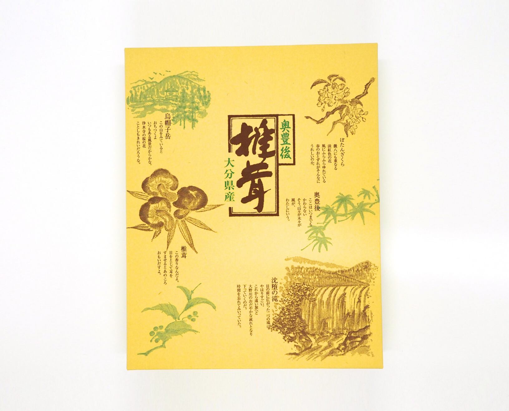 【茂里商店】大分県産椎茸進物どんこ『二代目育ち』150g