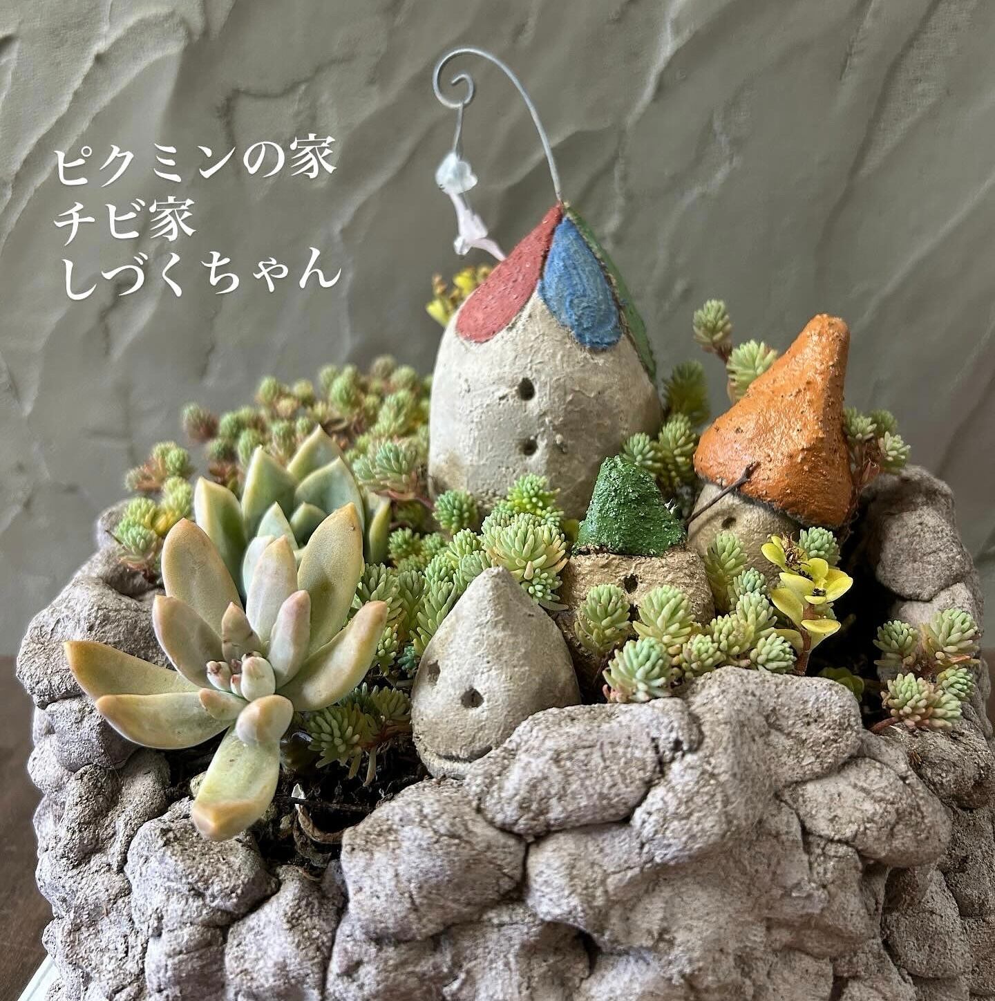 鉢の見張り番 しずくちゃん | 花工房リトルガーデン