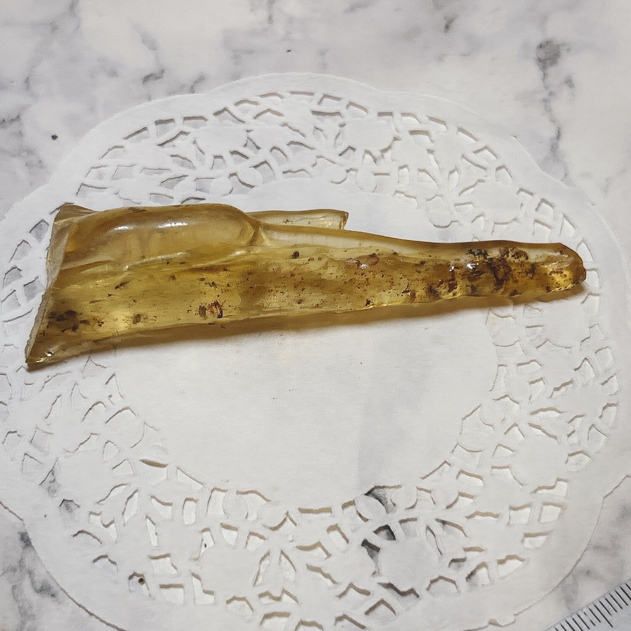 化石]琥珀・アンバー | クリスタル・ワールド御徒町店