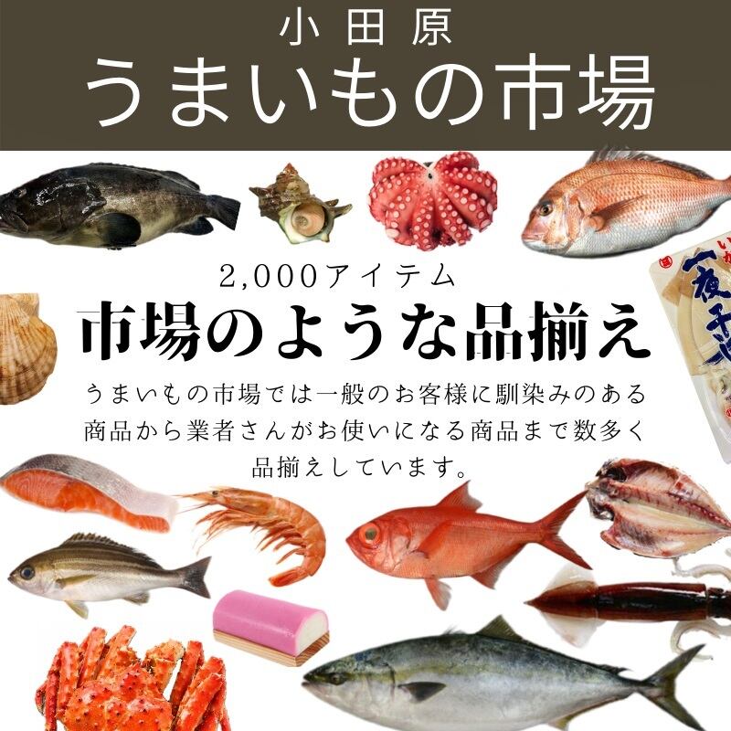 生おろしわさび 300g入り 業務用 【山間渓流の清水で育つ厳選された本