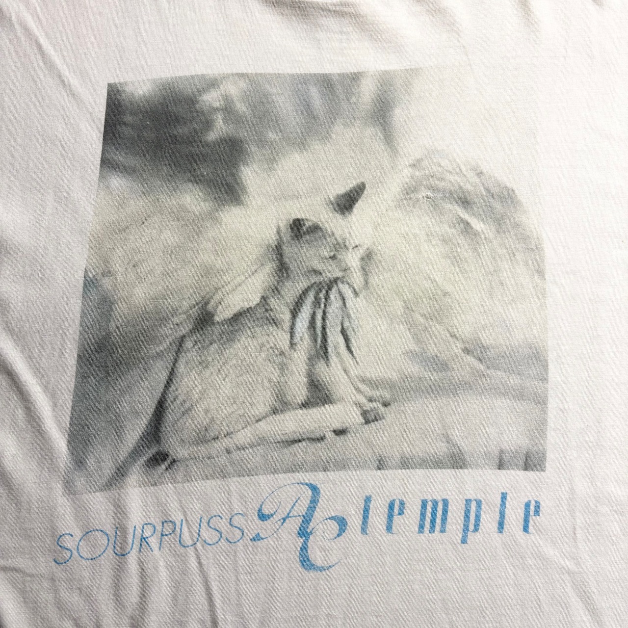 vintage 1980’s~90’s AC TEMPLE music tee “SOURPUSS”