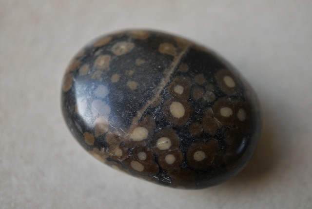 インド産ライオライト Rhyolite 1765