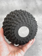 竜鱗 5号