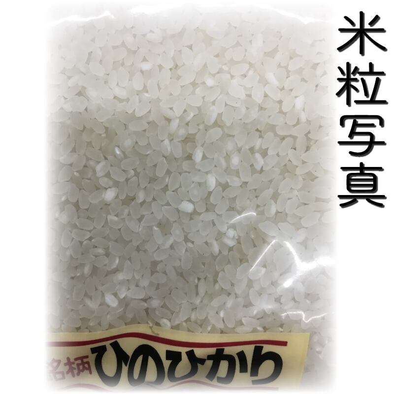 熊本県産 ヒノヒカリ100% 10キロ