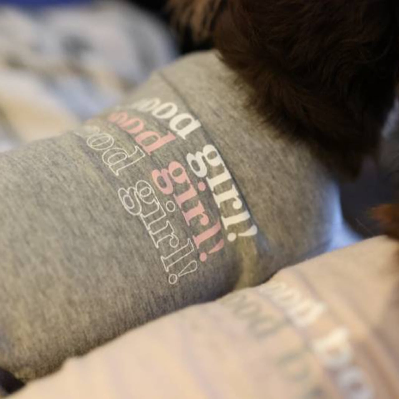 3点おまとめ未使用 ラムピノクチュール good girl Tシャツ 犬服 未使用 ラムピノクチュール good girl Tシャツ 犬服 ダックス - メルカリ