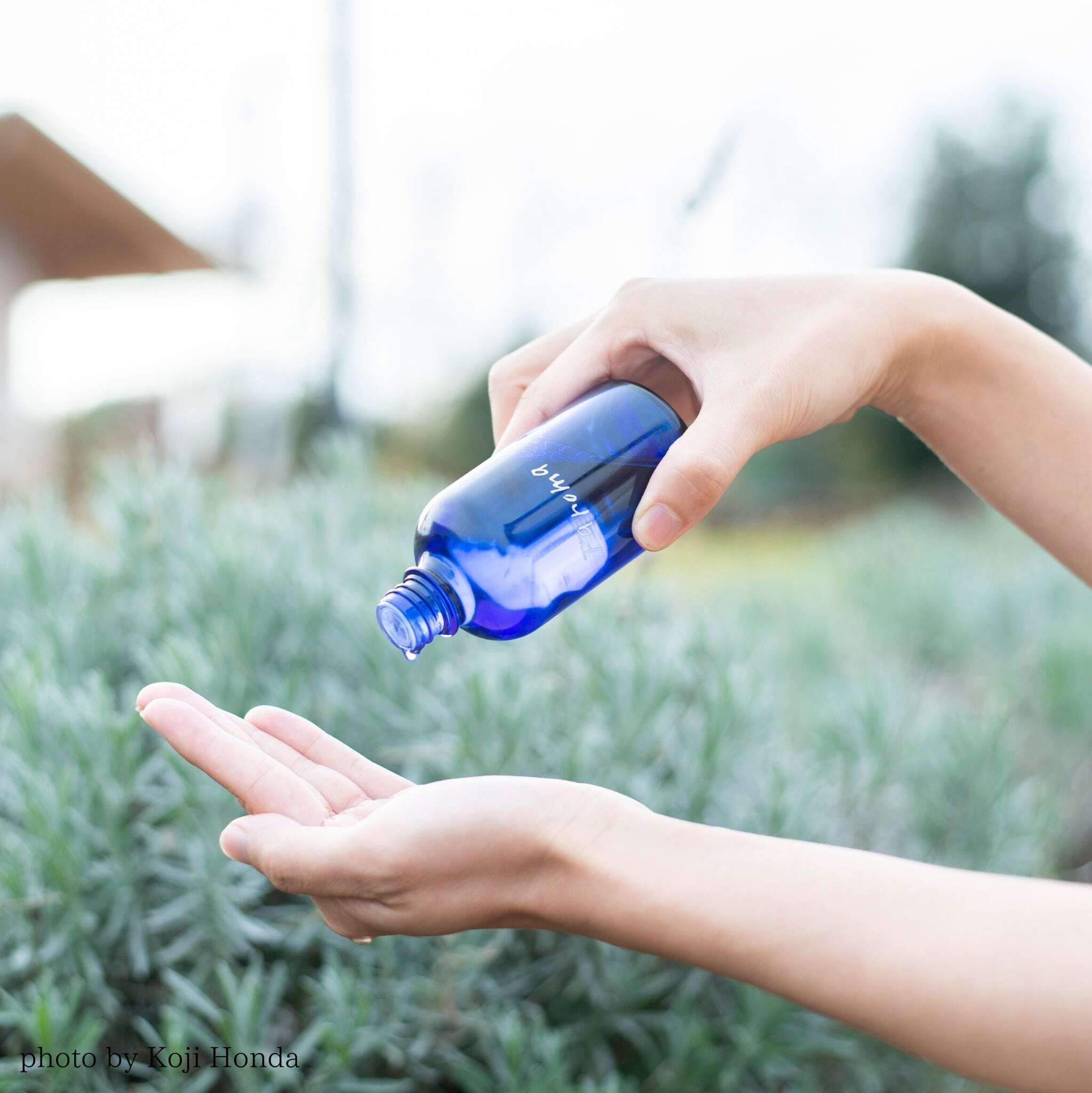 スペシャルボディケア | The Healthcare Mall / ザ・ヘルスケ