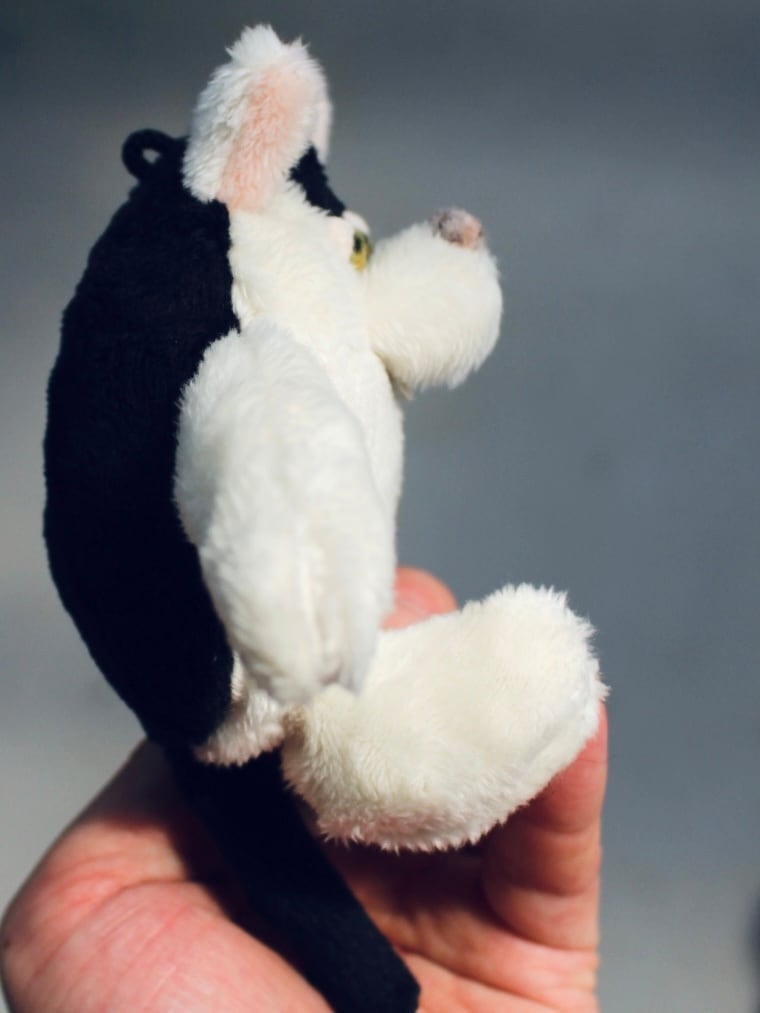 osuwari pocket cat 2060914 | MMM MADE (エムエムエムメイド）