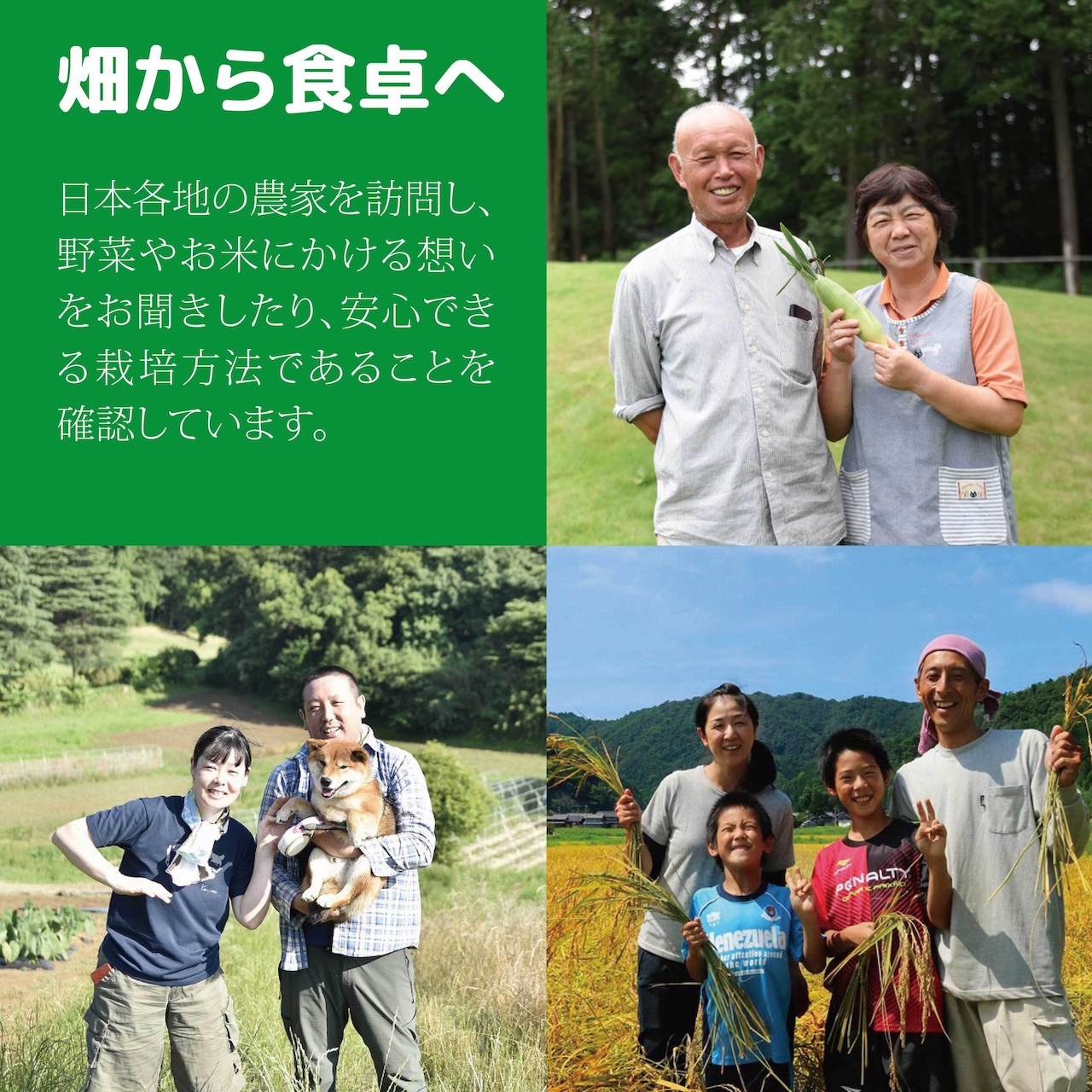 毎月お届け【定期便】　送料無料！6食セット（冷凍）ととのう弁当（6種類×各1食）