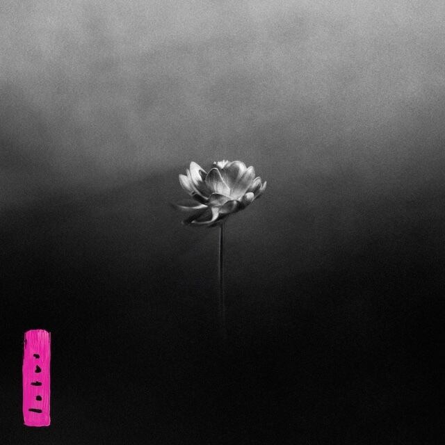 Little Simz / Lotus（Ltd Electric Pink LP w Japanese Obi）