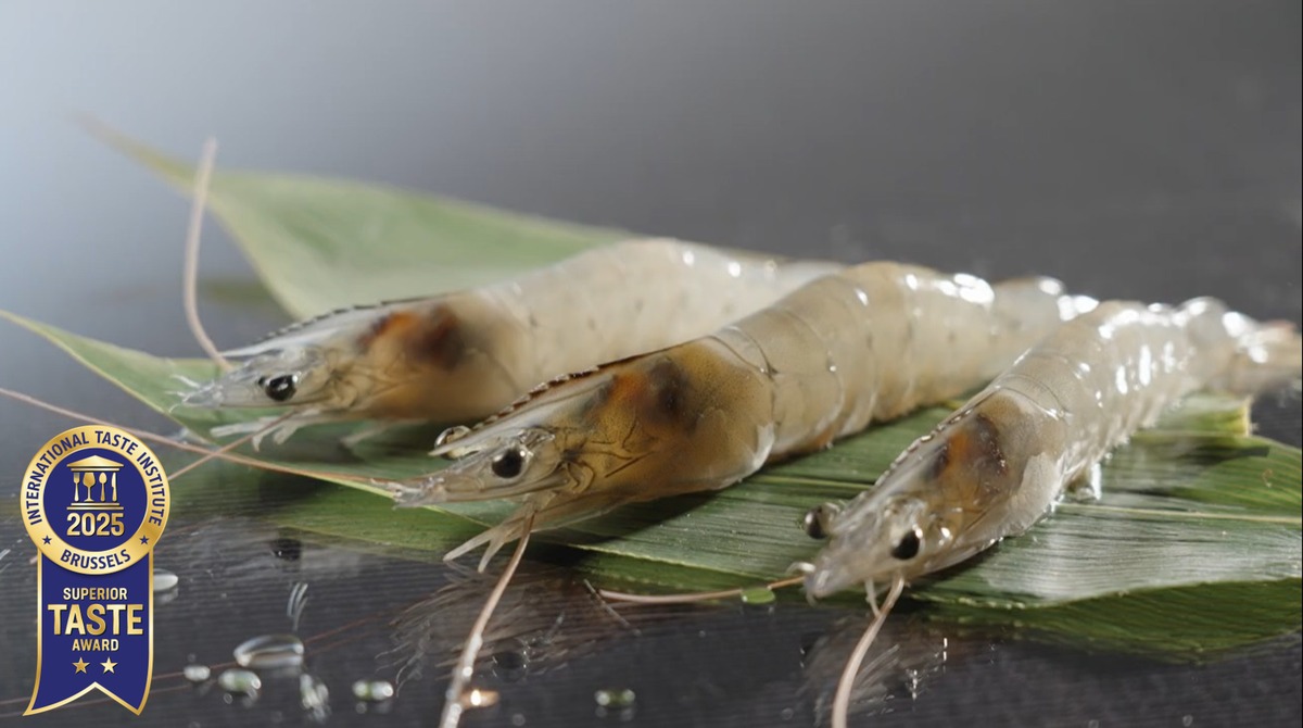 a2eeda5b7ea4c2bc25de5a02ecd539