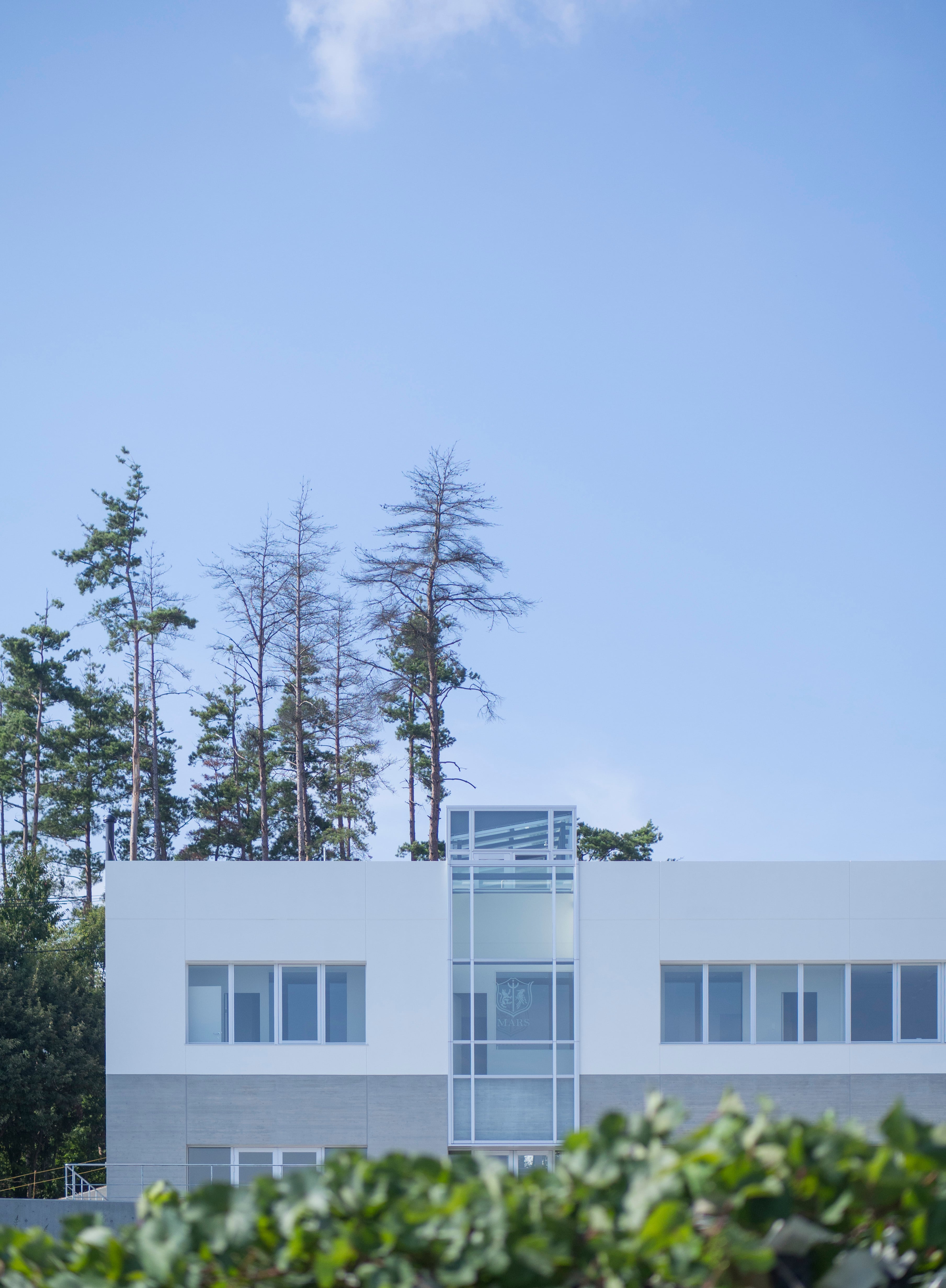 イベント　3/20(金・祝)【本坊酒造 コラボランチイベント】12:00～