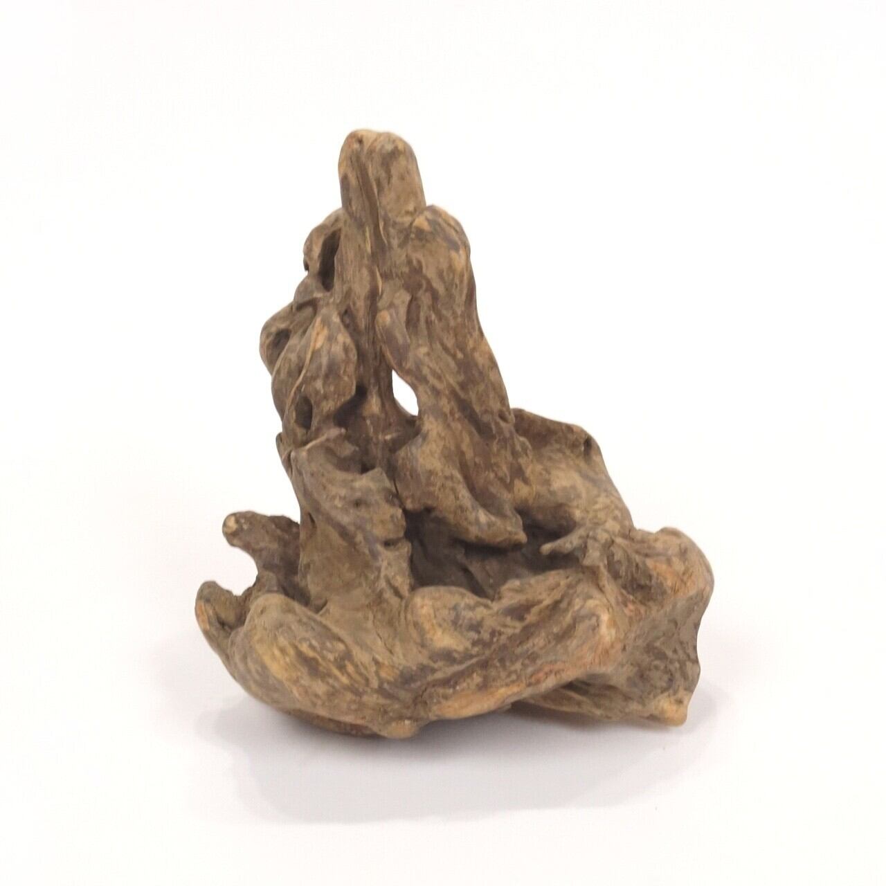 温泉流木】美しい角を持つ根の流木オブジェ 置物 素材 流木インテリア