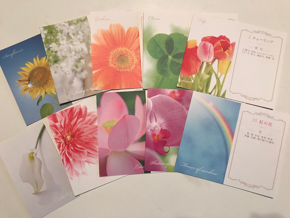 誕生花セラピー 誕生花カード付き Healing Space Lucias 誕生花セラピー 誕生花カード付き Healing Space Lucias