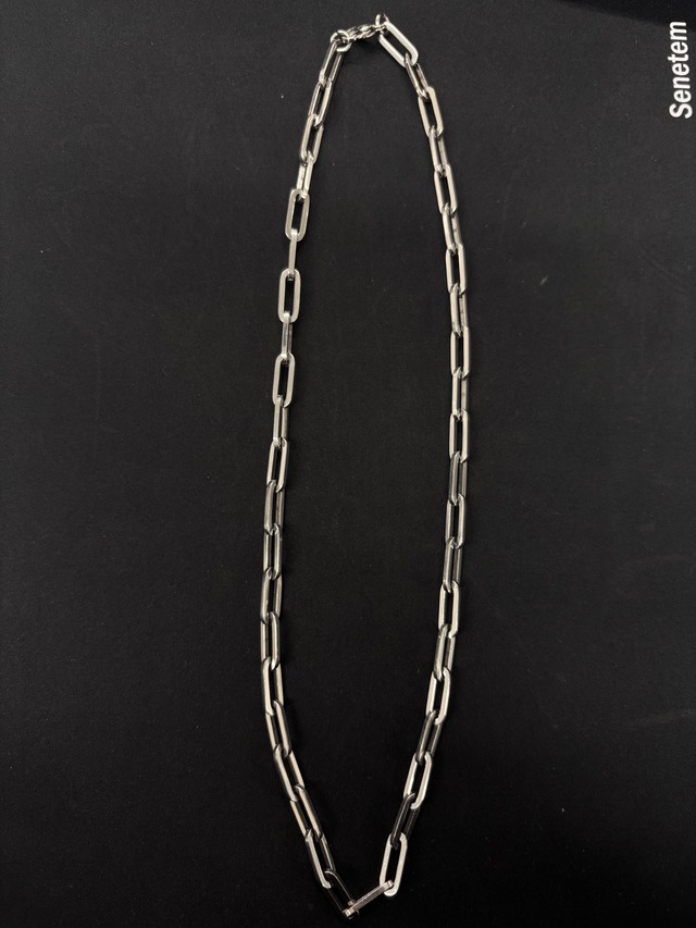 【ALUDE】long oval chain necklace