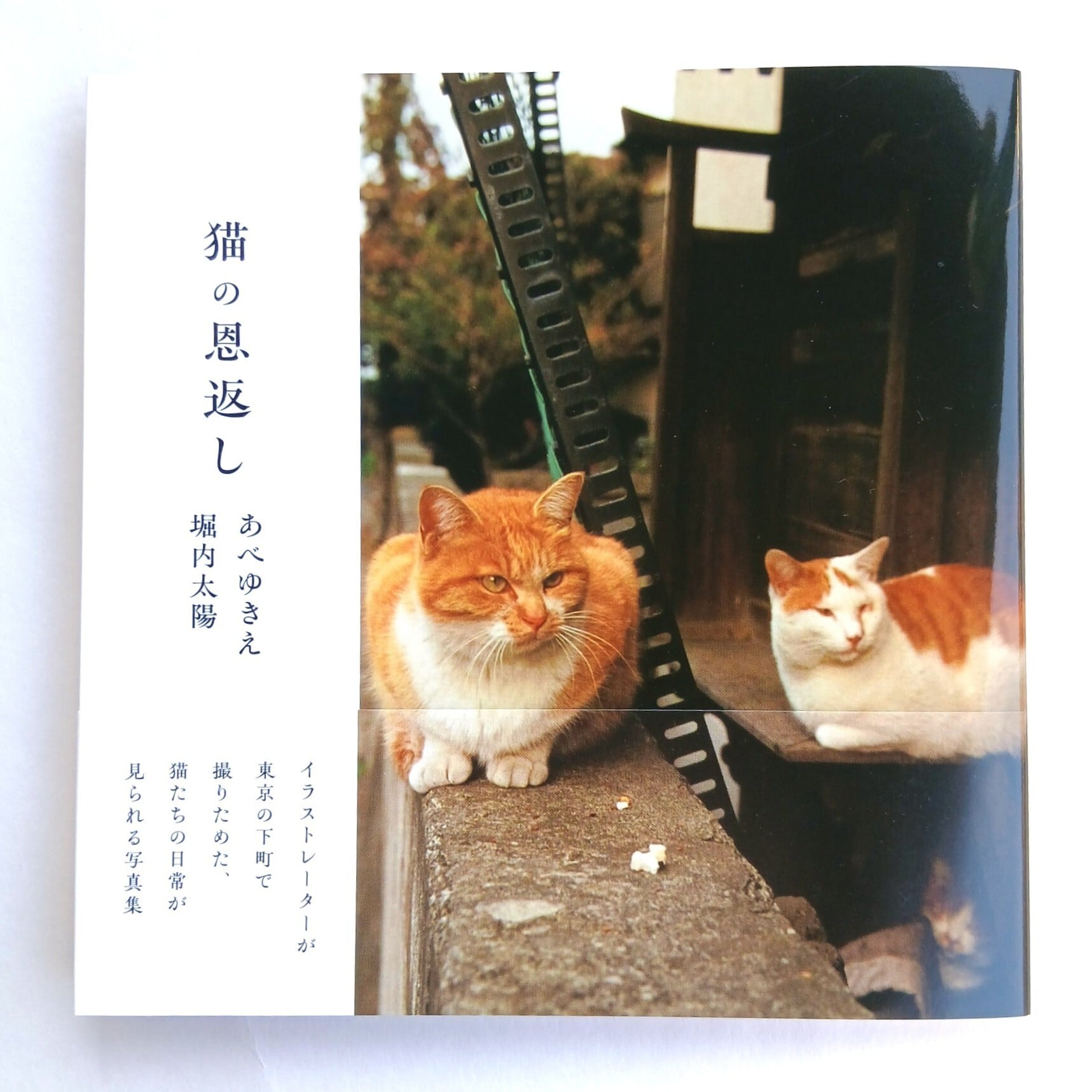 羊毛フェルトのちびねこ軍団 | ねこのみち