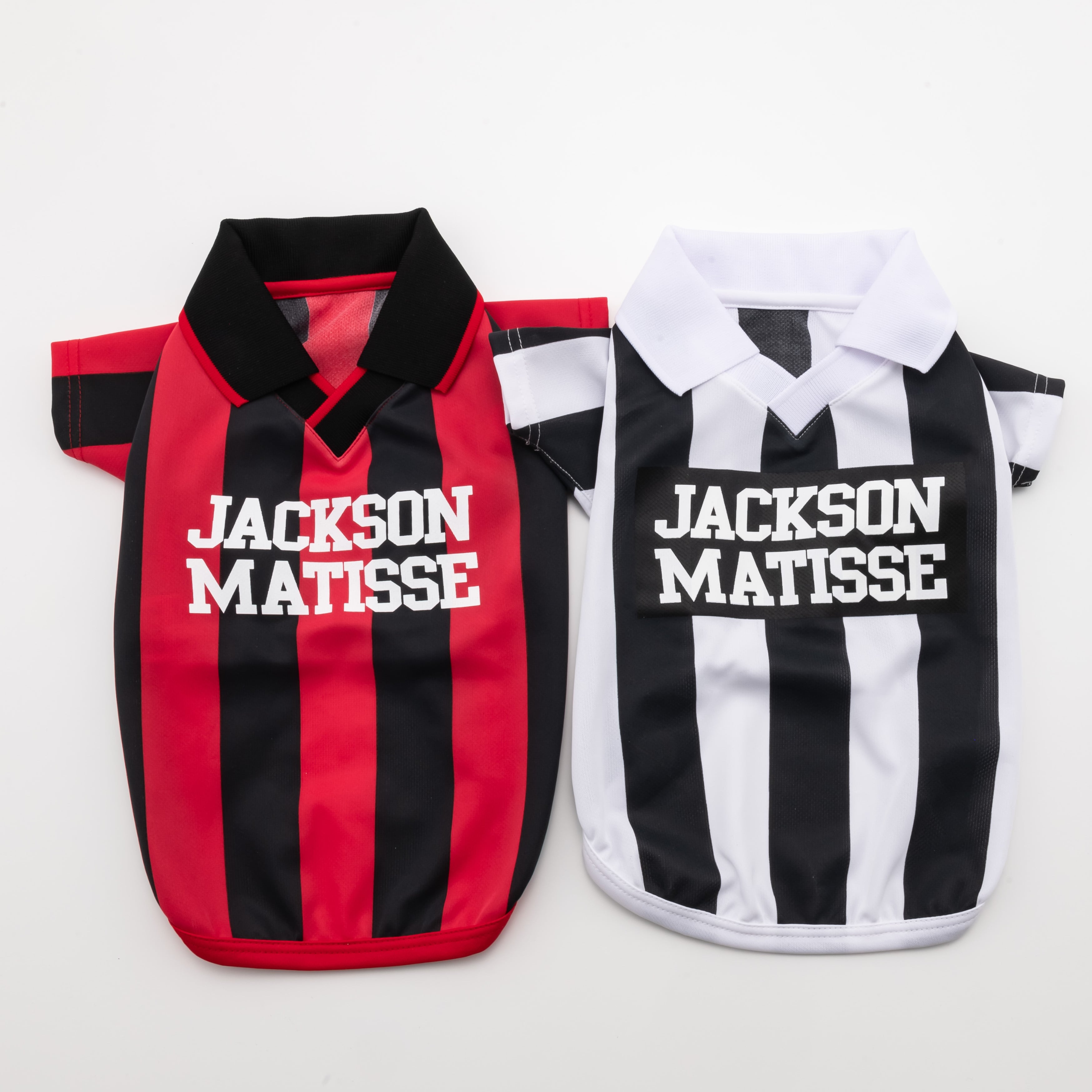 GAME Shirts | JACKSON MATISSE PETS