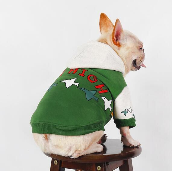 《予約》1102741 スカイハイ グリーンパーカー