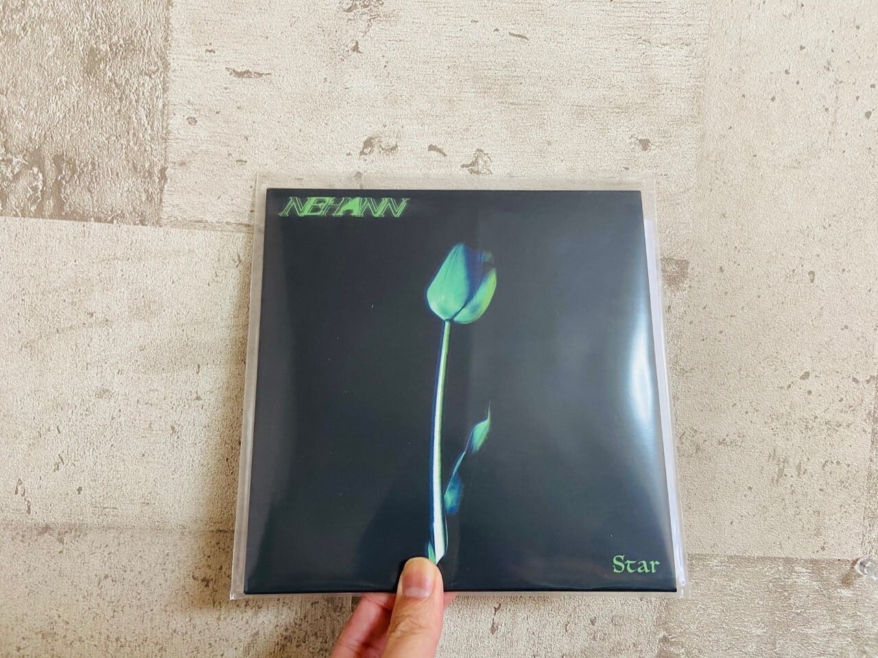 goethe / 恍惚 | HOLIDAY! RECORDS DISTRO