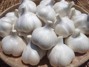 ムール貝・塩蔵わかめ・にんにく 3点セット