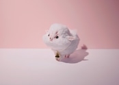 ヤギィ