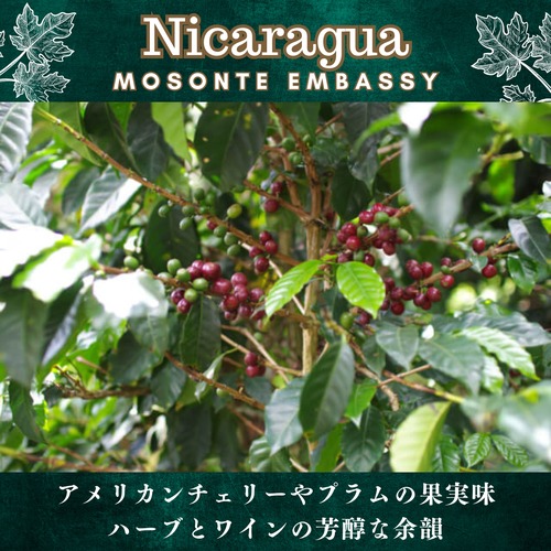 ニカラグア【 モソンテ エンバシー農園 】200g 画像