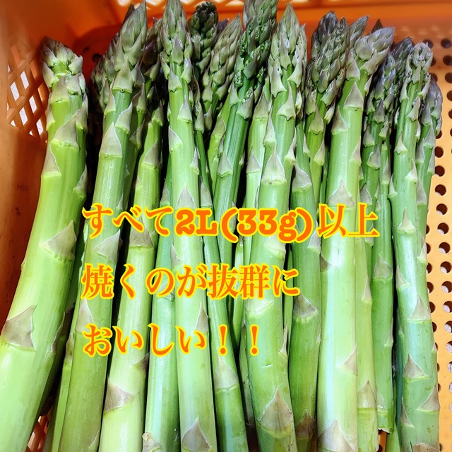 【売切れ必須！ご注文はお早めに!】2L以上極太アスパラ！1kg入り！発送は5月～】