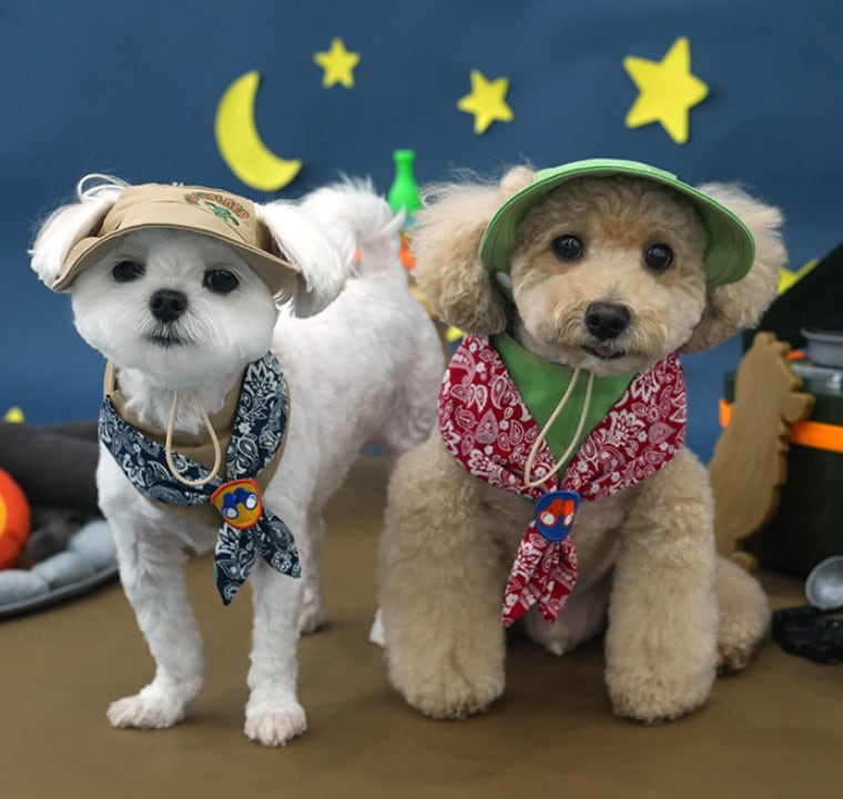 baby bucket hat S ~ L 3color / 犬用 帽子 秋冬 新作 ドッグウェア 犬