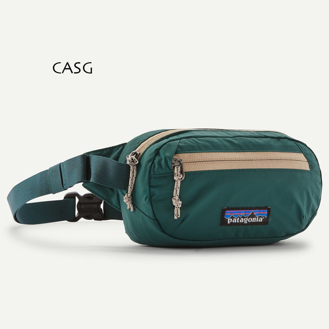 Patagonia [パタゴニア正規代理店] Terravia Mini Hip Pack 1L [49448