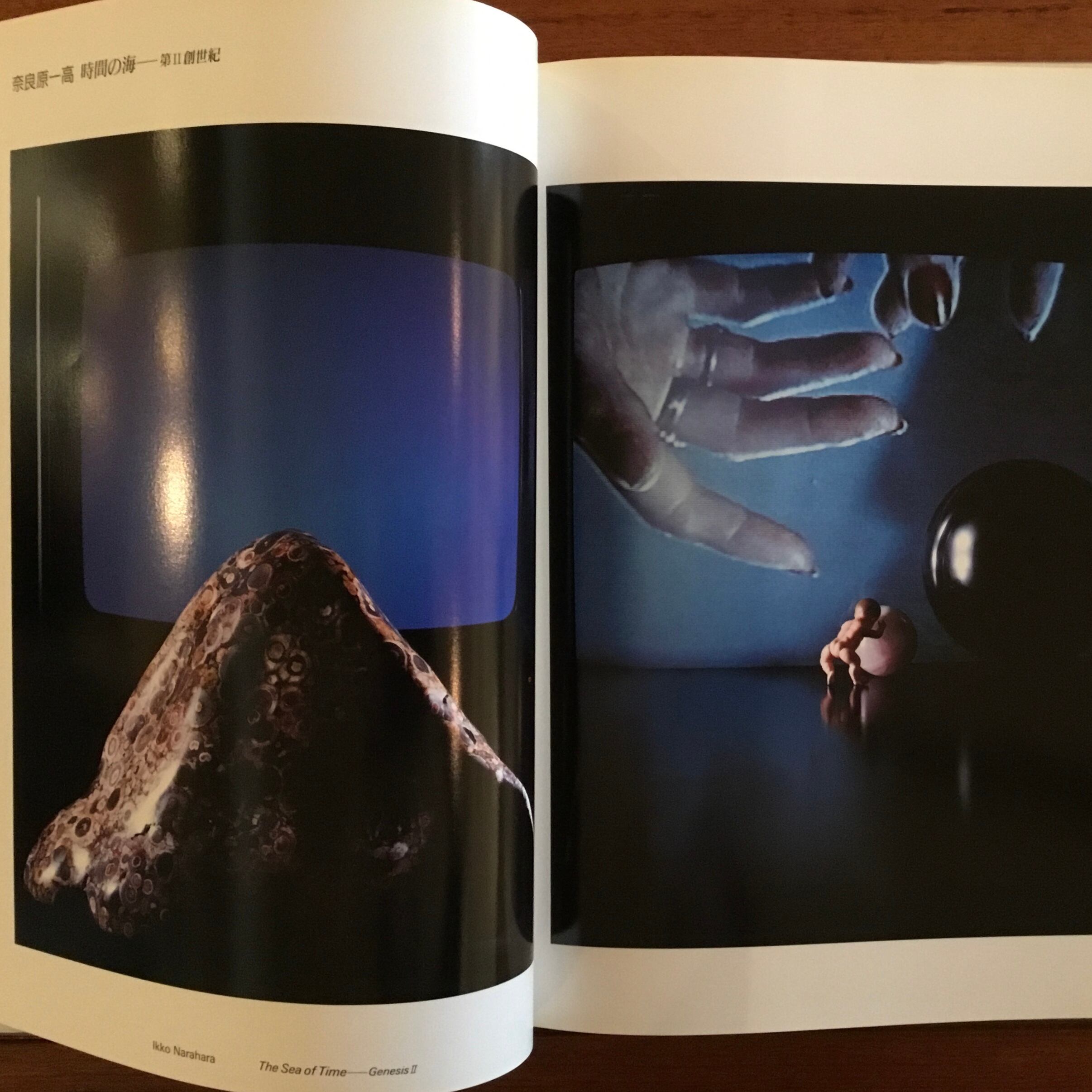 アメリカ写真の世紀 : ポラロイド・コレクション 他3冊 アート