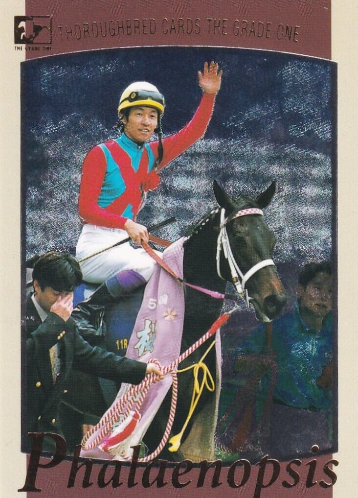【希少品】セイウンスカイ　特大ポスター　JRA 競馬 セイウンスカイ：第58回 皐月賞(ミラー仕様)「THE GRADE ONE」No.3