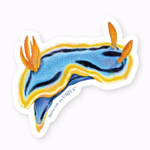 海の生きものステッカー（アンナウミウシ）