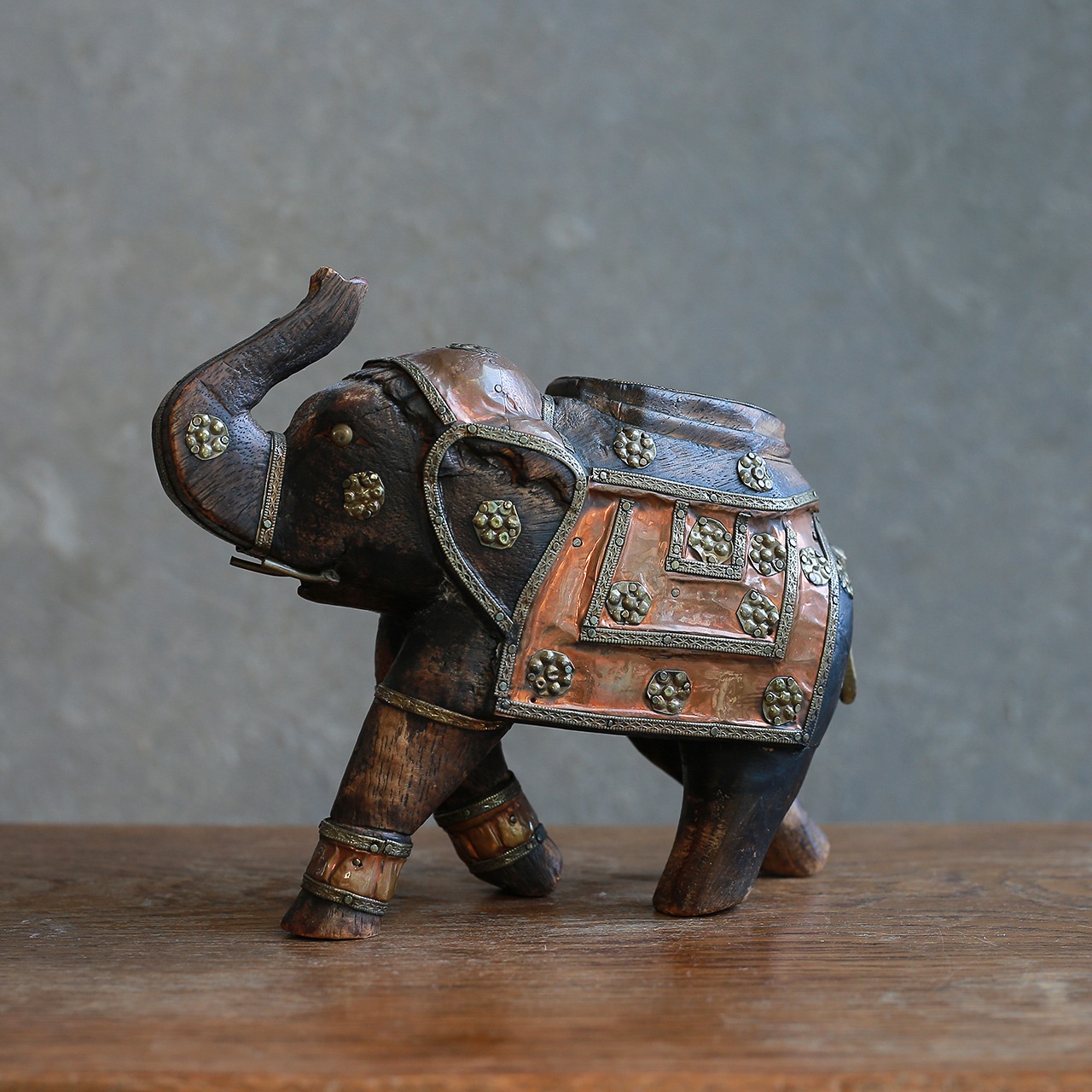 インドからやって来た、プリミティブな象 9