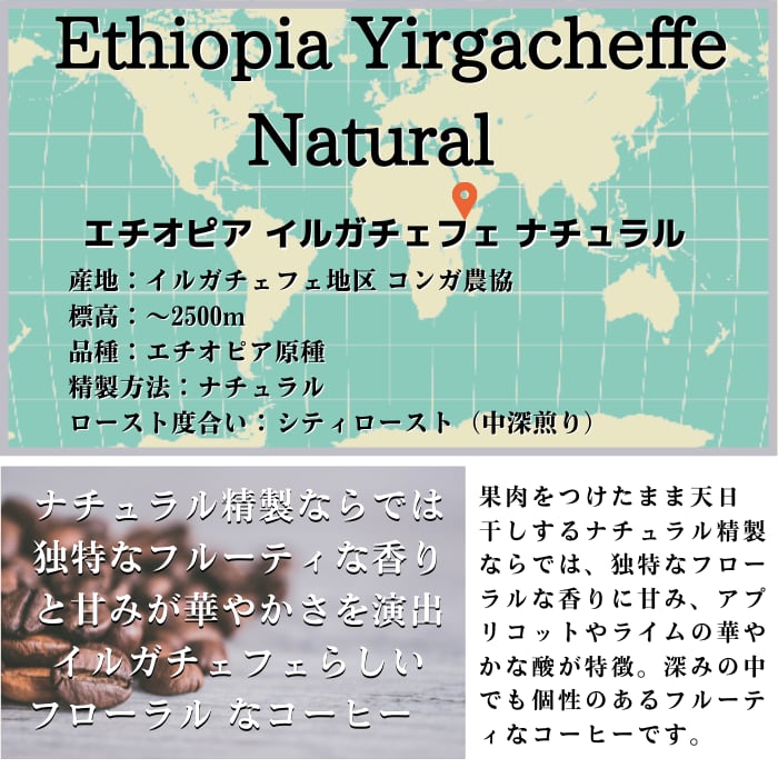 エチオピア　イルガチェフェ　ナチュラル　200g＜シティロースト＞