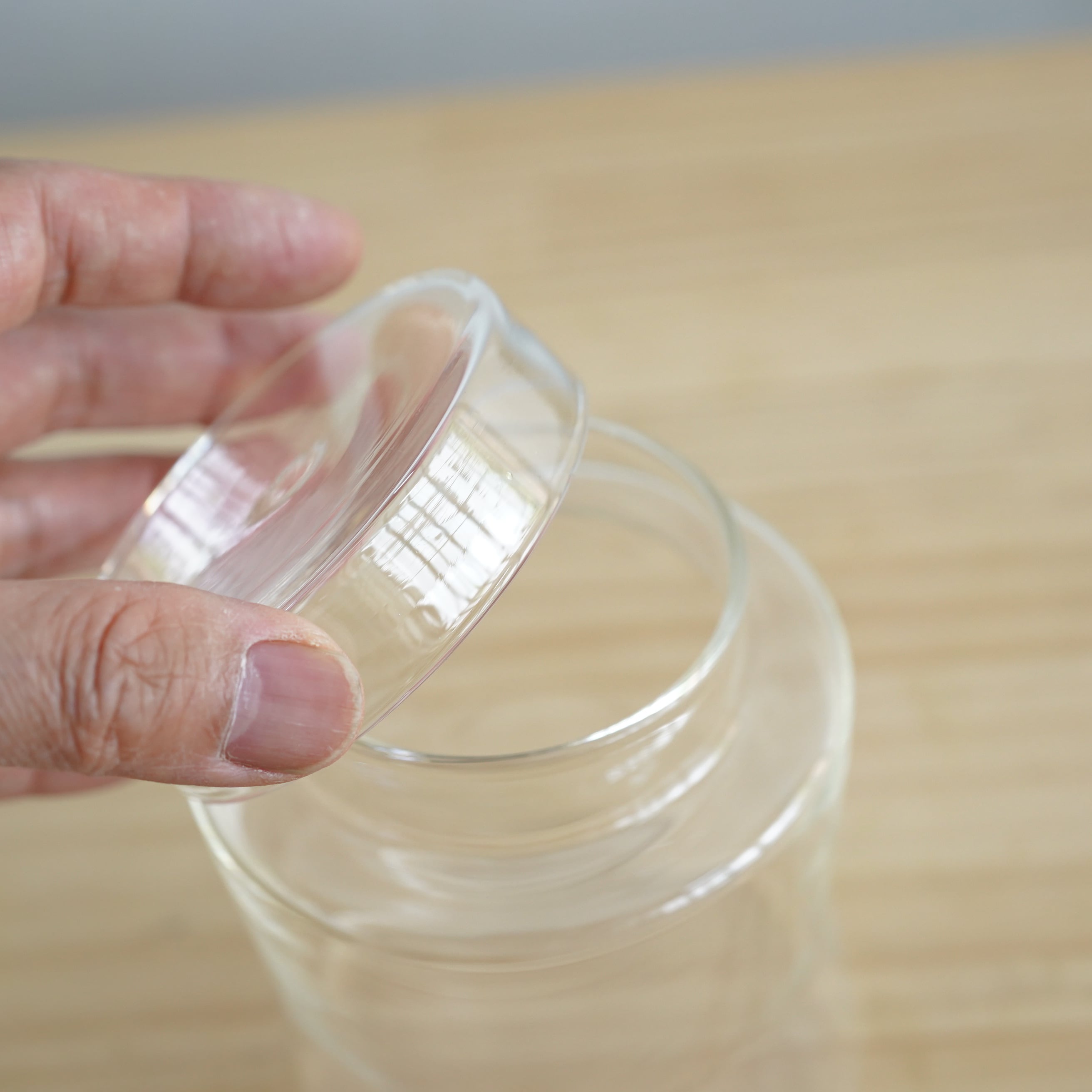 小泉硝子製作所 理化学ガラス容器】DEGREE TypeB | 苔テラリウム専門