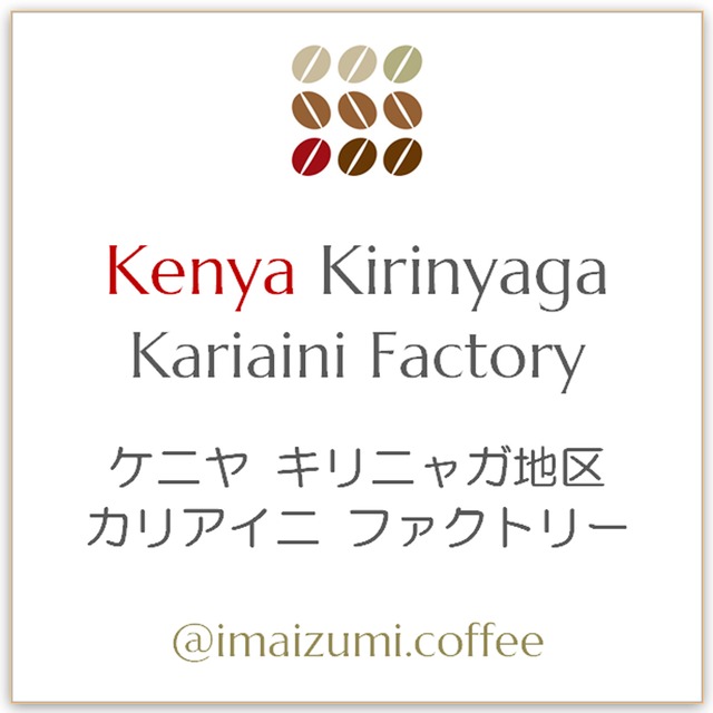 【送料込】ケニヤ キリニャガ地区 カリアイニ ファクトリー - Kenya Kirinyaga Kariaini Factory - 300g(100g×3)