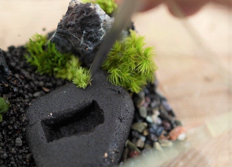 a322c0fdbc8c709822f40e3918c3ed