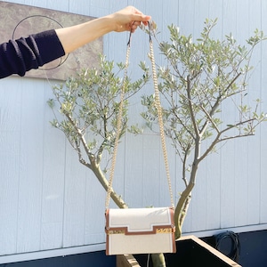 2021年SSモデル DELVAUX タンペート キャンバス×レザーショルダー