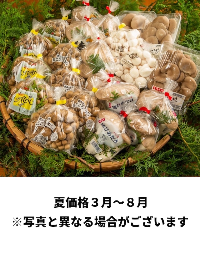 【農薬・化学肥料不使用】　宮崎県綾町産　きのこの詰め合わせセットＬサイズ　全国送料別