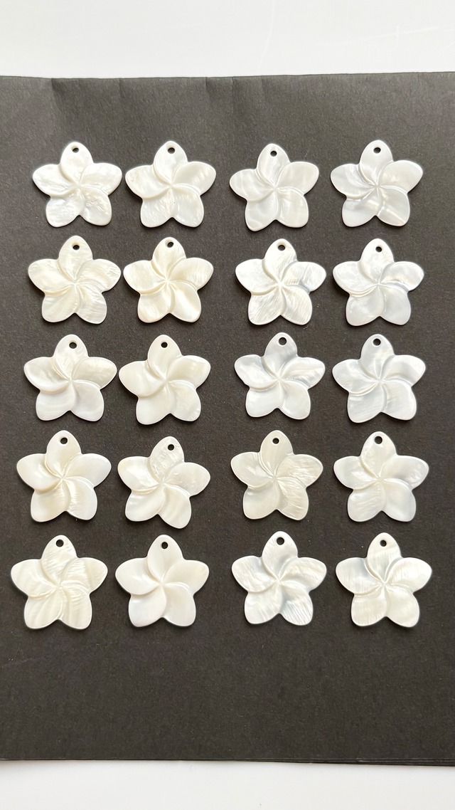 MOP Plumeria / プルメリア 10pc