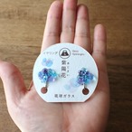 季節限定! あじさい