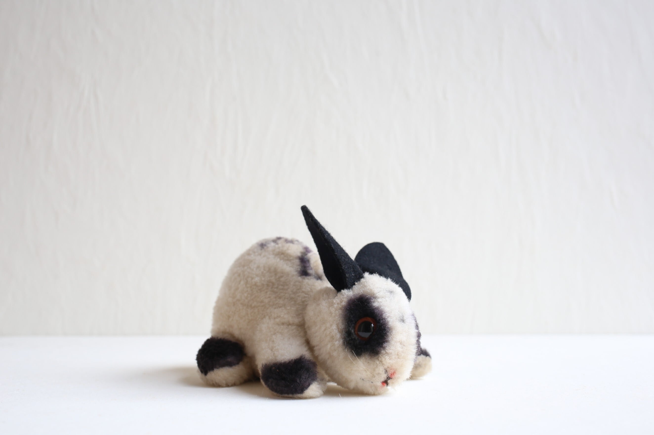 シュタイフ steiff | EMUPARIS