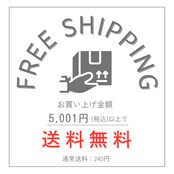 <中日ドラゴンズ>　折りたためるエアバッグトート ブラックドアラ