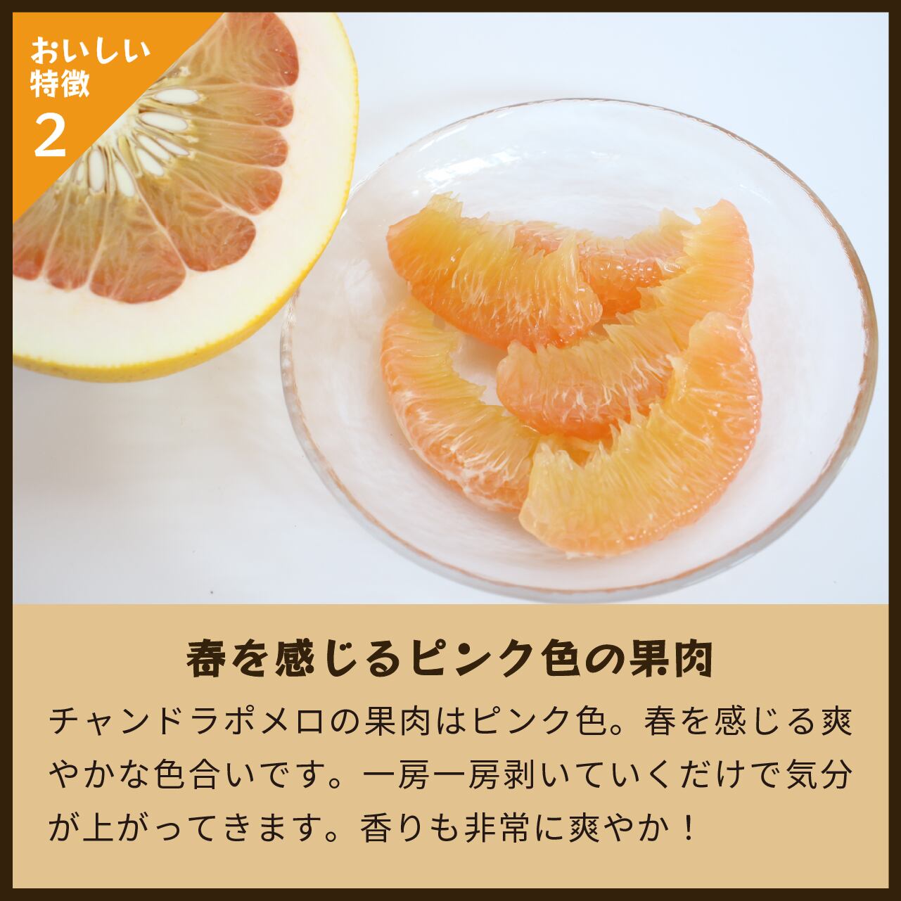 チャンドラポメロ　20個 チャンドラポメロ：広島県産のポメロ｜食べチョク｜産地直送(産直)お