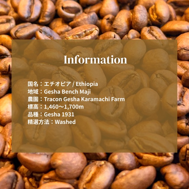 【エチオピア】Gesha Karamachi Washed |Light Roast-100g