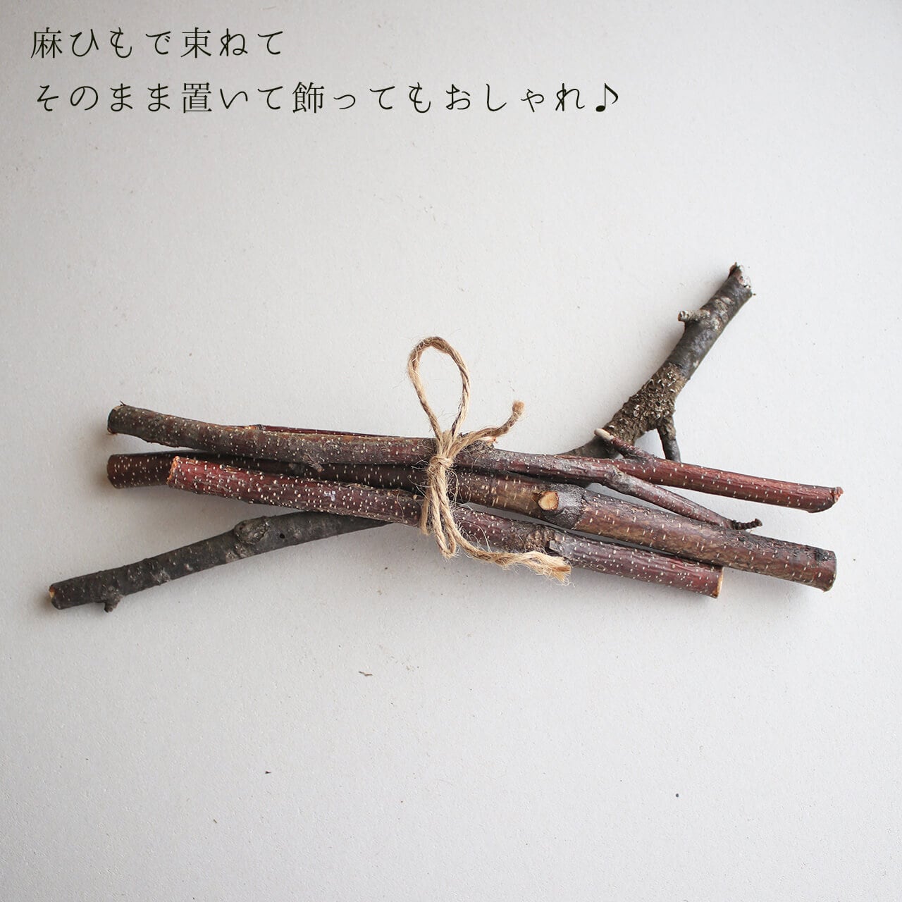 北海道 富良野産】白樺の枝 ミニサイズ 【 5本セット 】 ドライ