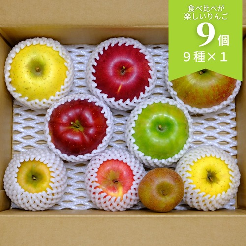 食べ比べが楽しいりんご9個セット【発送日選択】（送料込）